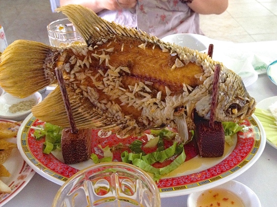 メコン川名物の象魚（Catai）の唐揚げ。巨大なピラニアみたいでなかなかにグロですが、臭みのない白身でたいへん美味。写真のように立体的な盛りつけ（？）スタイルが意外と食べやすく感心しました